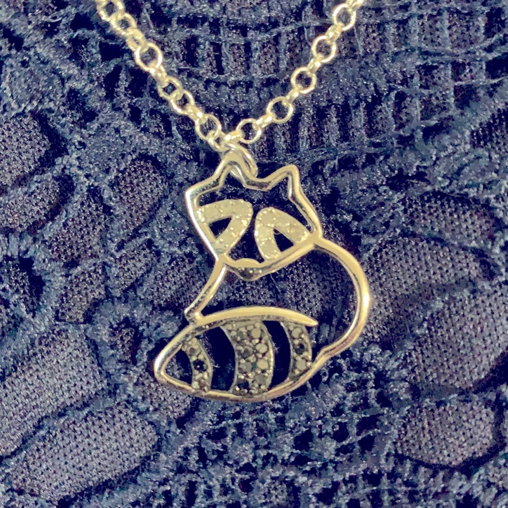 Silver Raccoon Charm and Chain
